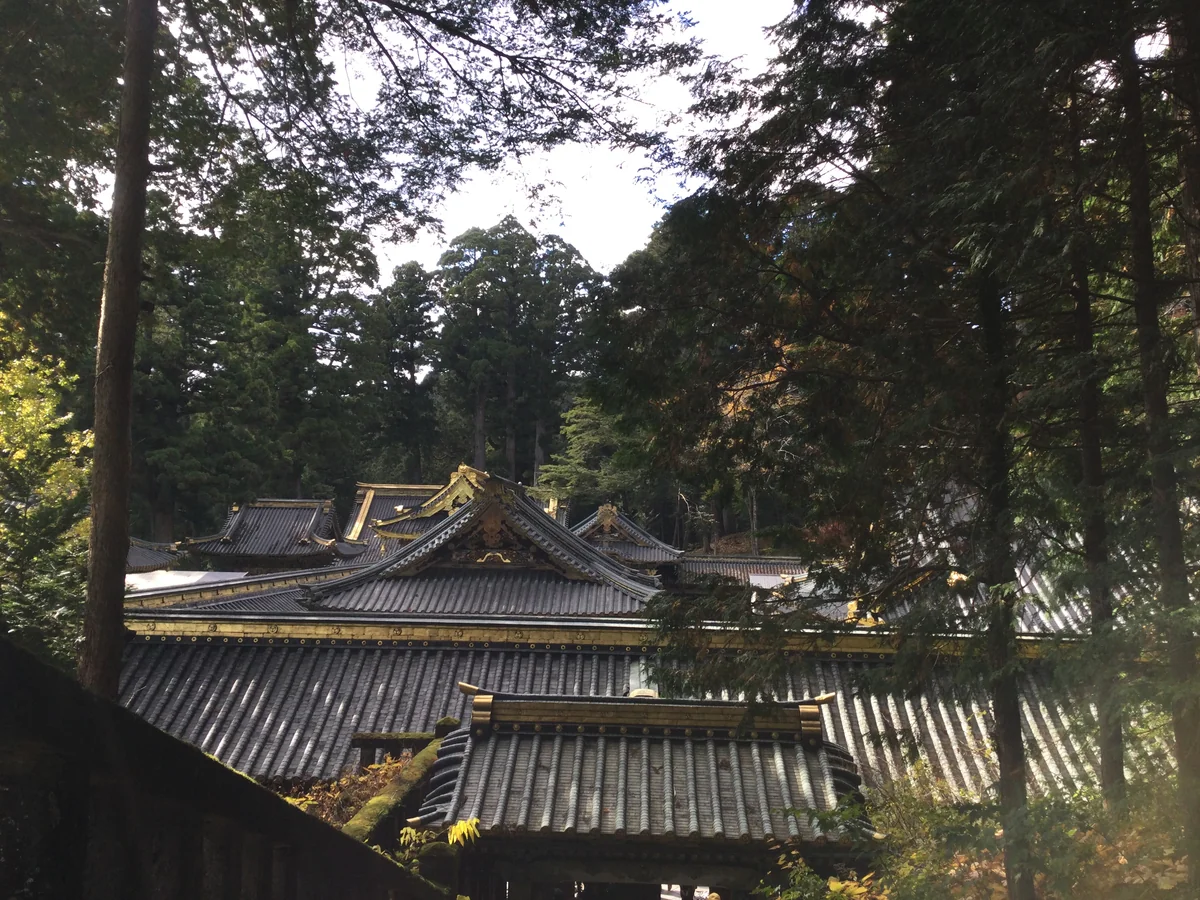 投稿写真：日光東照宮