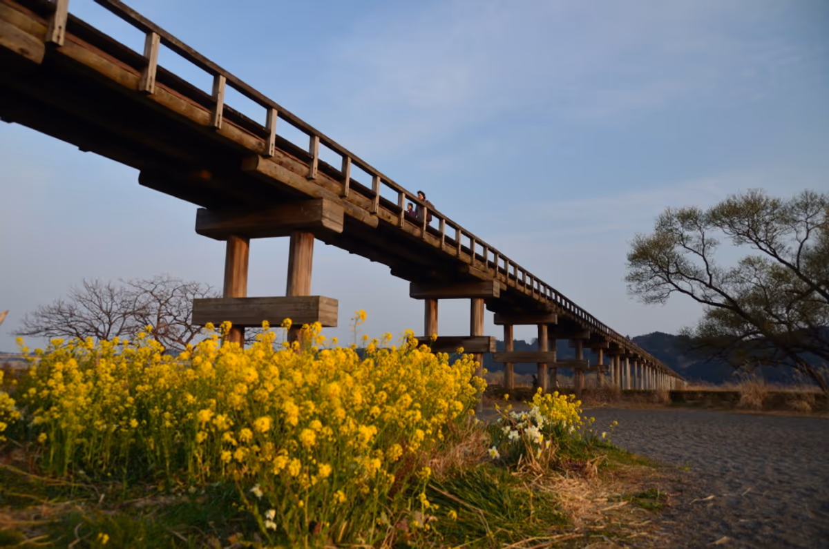 投稿写真：蓬莱橋