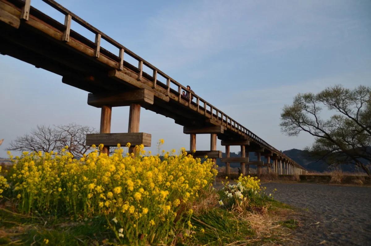 投稿写真：蓬莱橋