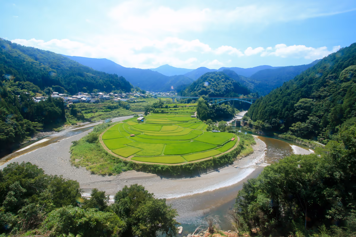 投稿写真：あらぎ島