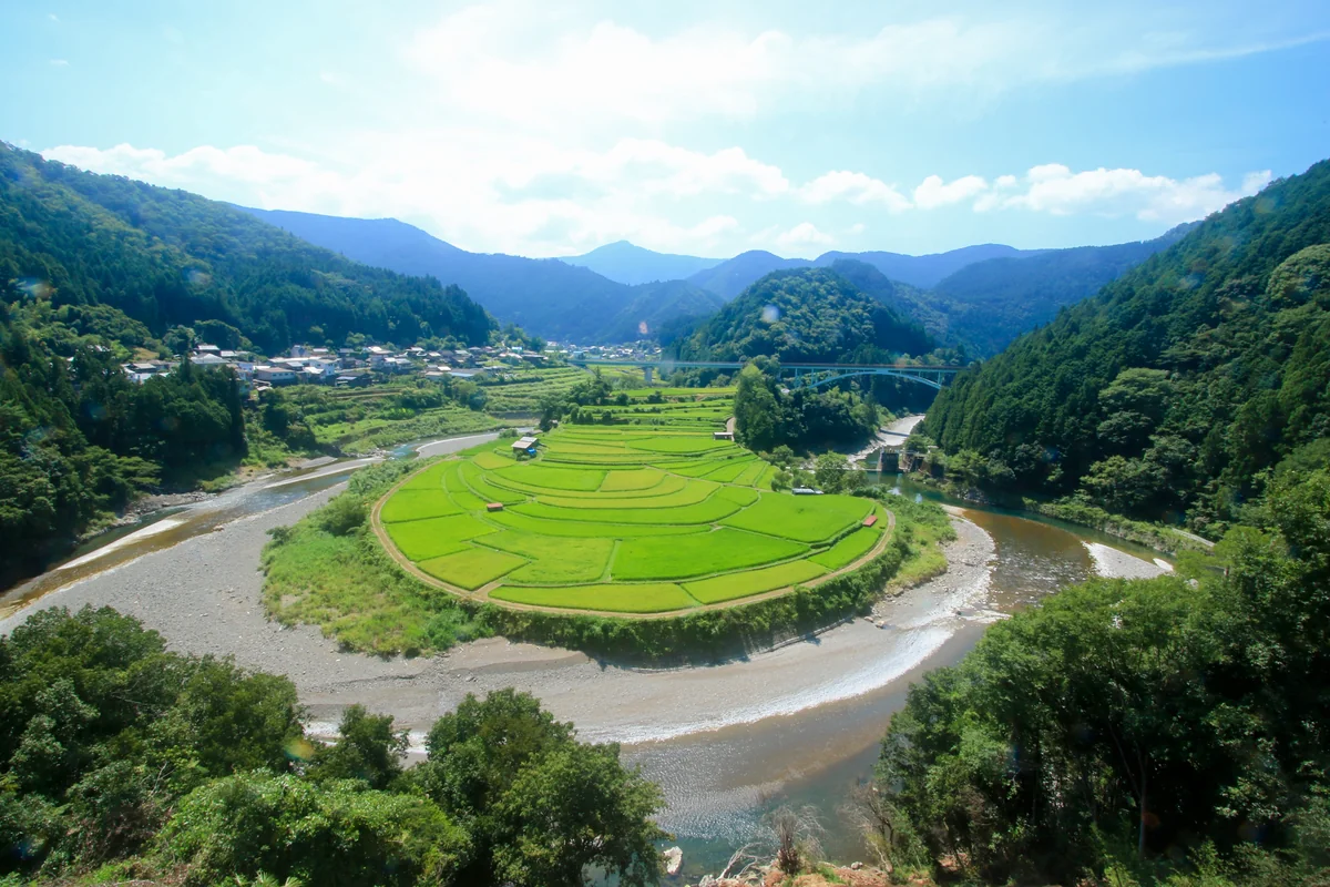 投稿写真：あらぎ島
