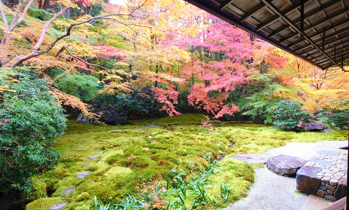 投稿写真：瑠璃光院