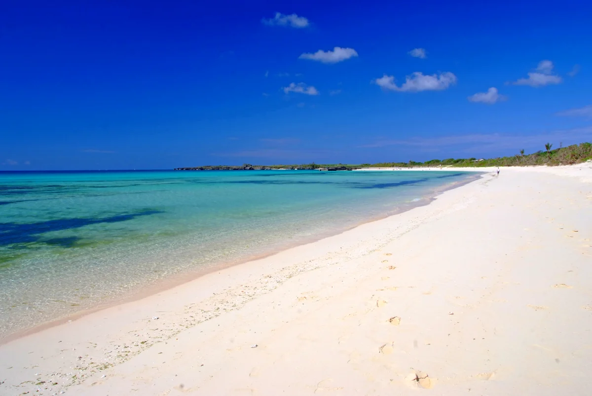 投稿写真：楽園にて