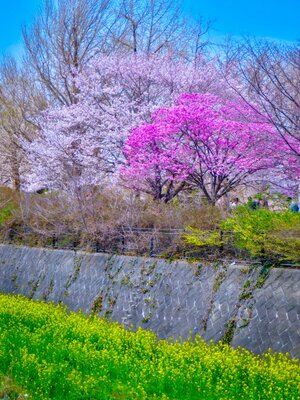 | 絶景事典