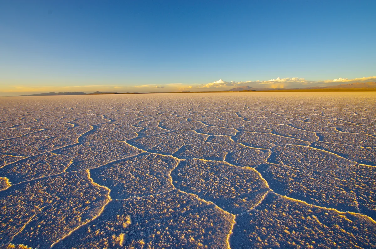 投稿写真：亀甲模様