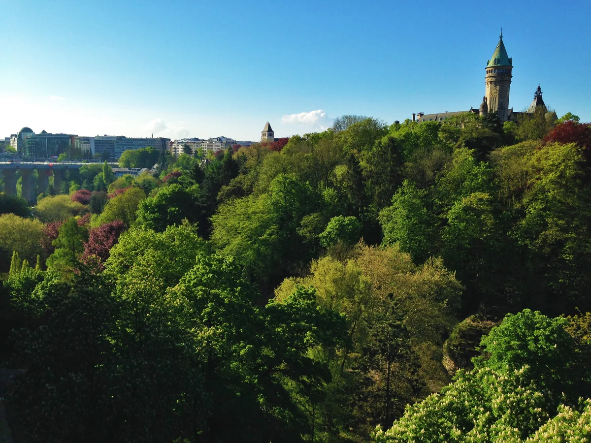 投稿写真：大渓谷と森林に築かれた街