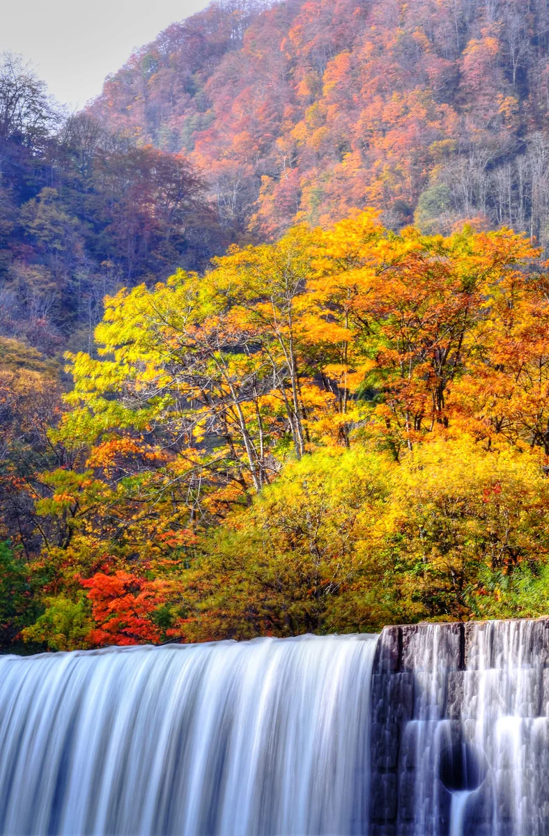 投稿写真：秋の砂防ダム