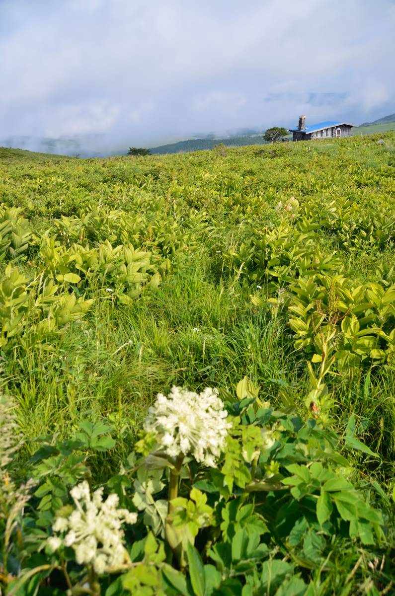 投稿写真：霧ヶ峰　山小屋