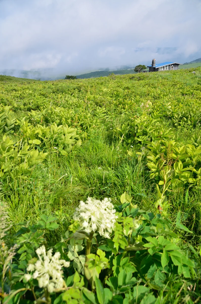 投稿写真：霧ヶ峰　山小屋
