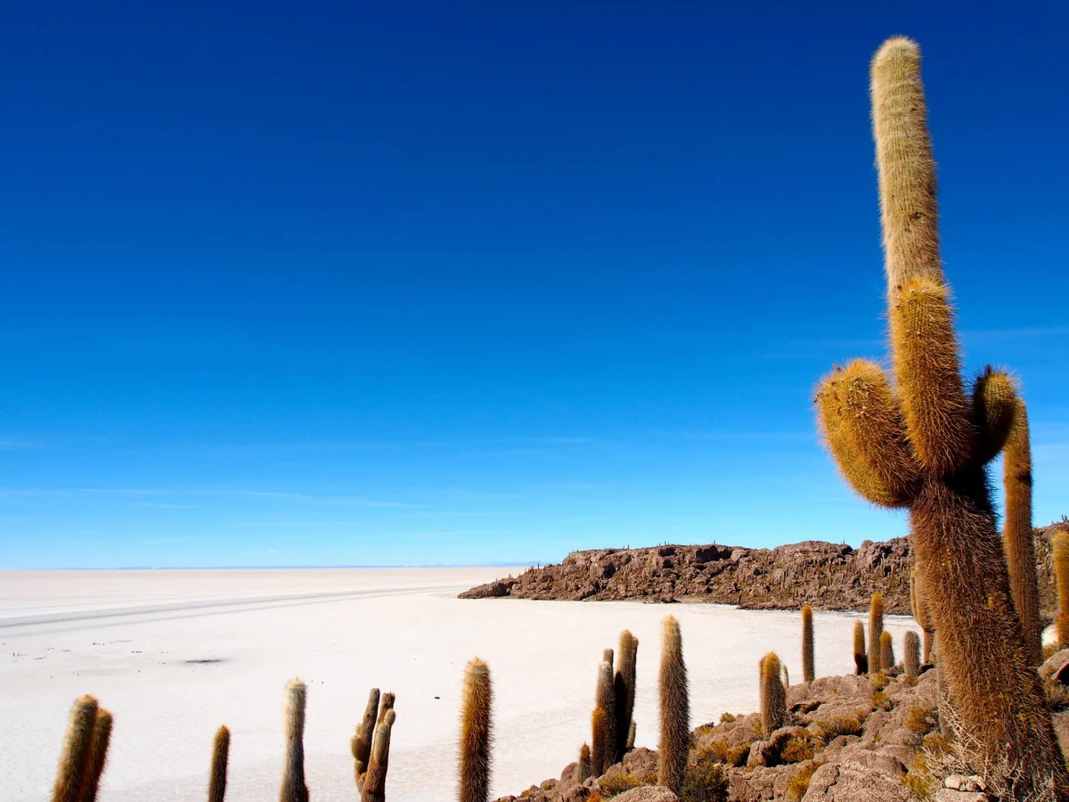 投稿写真：ウユニ塩湖