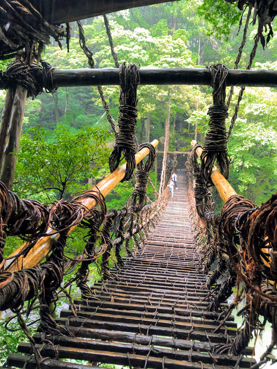 投稿写真：かずら橋