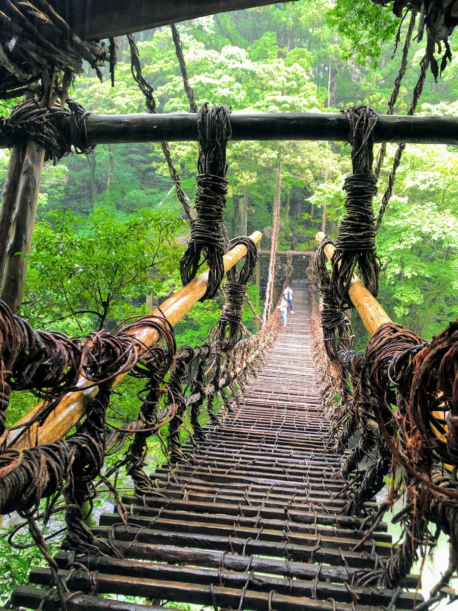 投稿写真：かずら橋