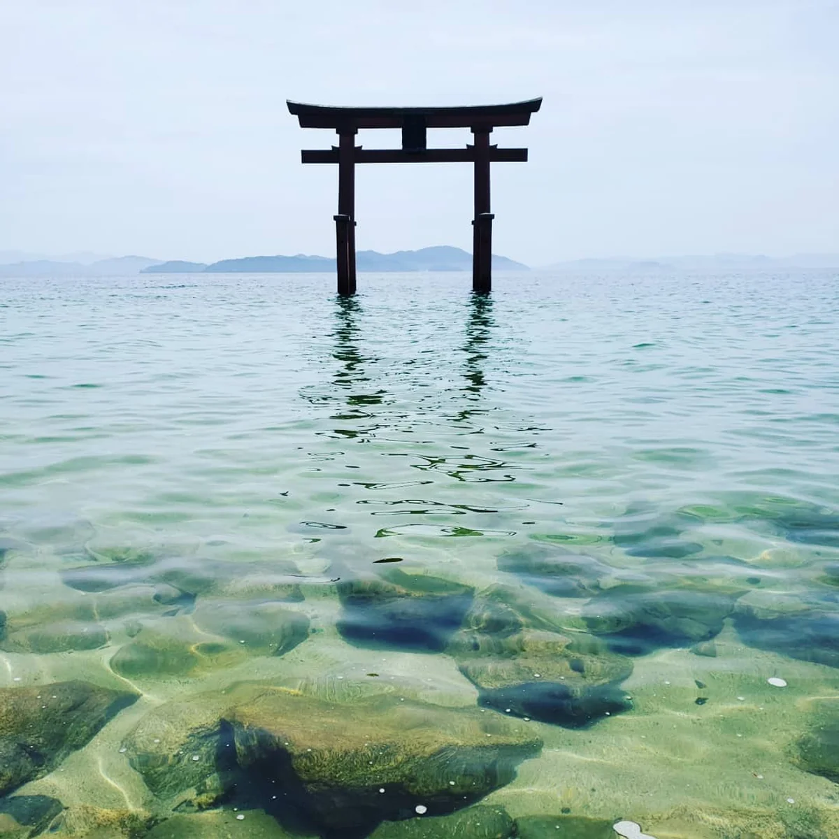 投稿写真：白髭神社湖中鳥居
