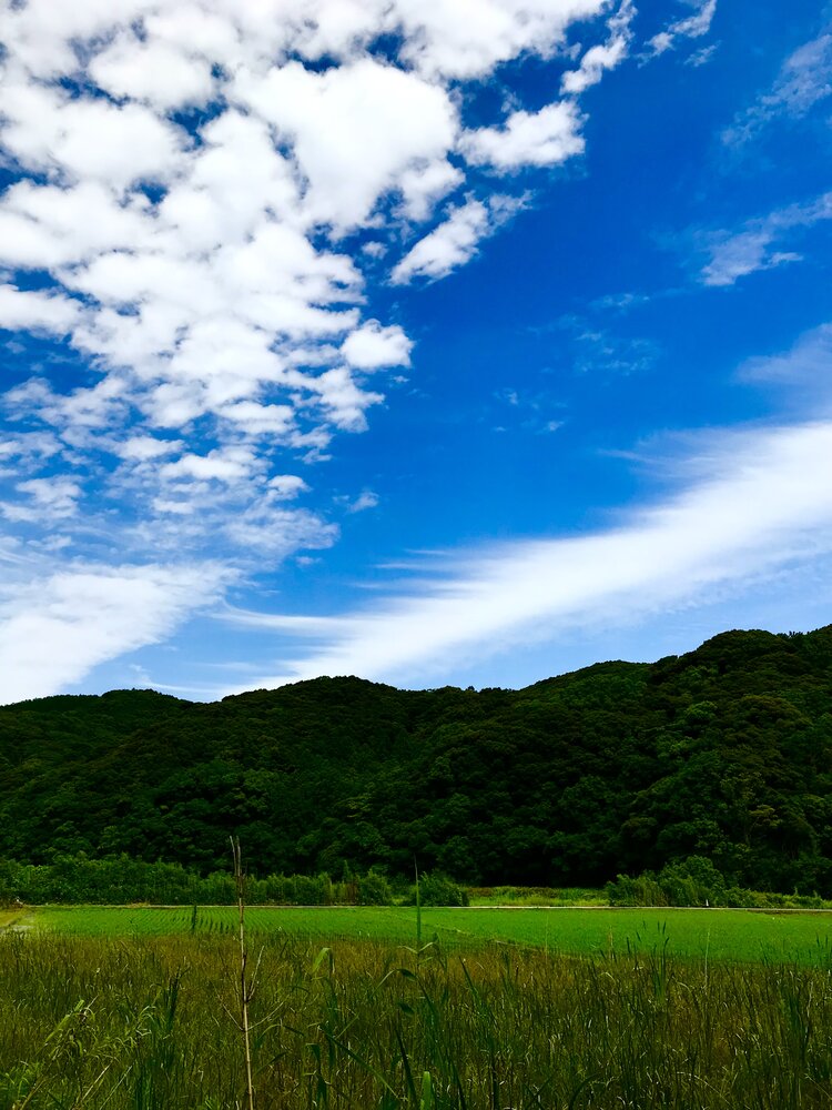 投稿写真：キャンパスに殴り描きしたような果てしなき空模様