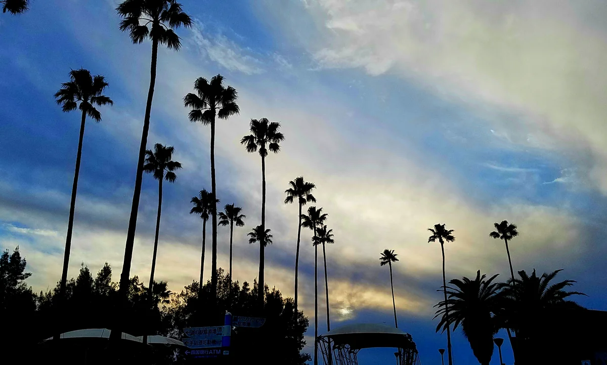 投稿写真：ヤ・シィパーク