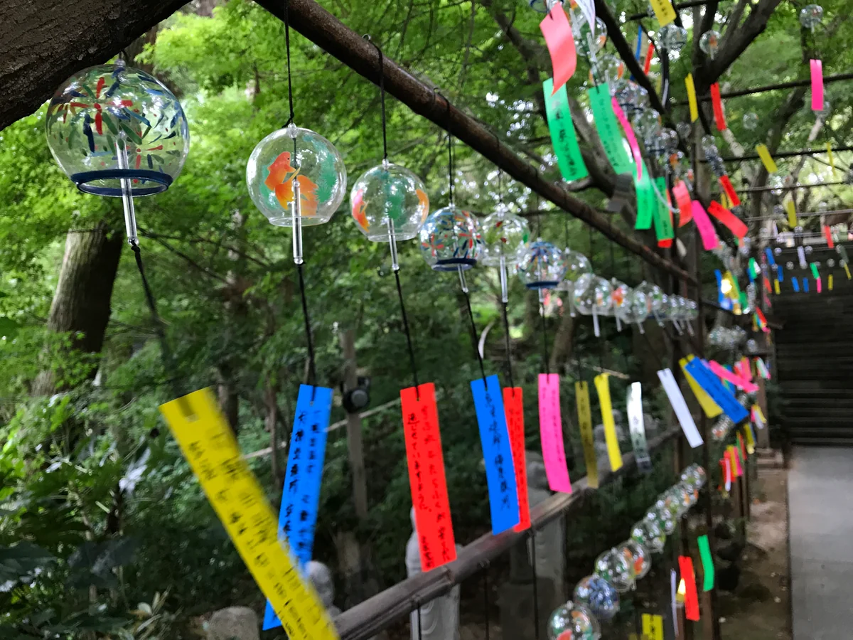 ミユキさんの投稿写真