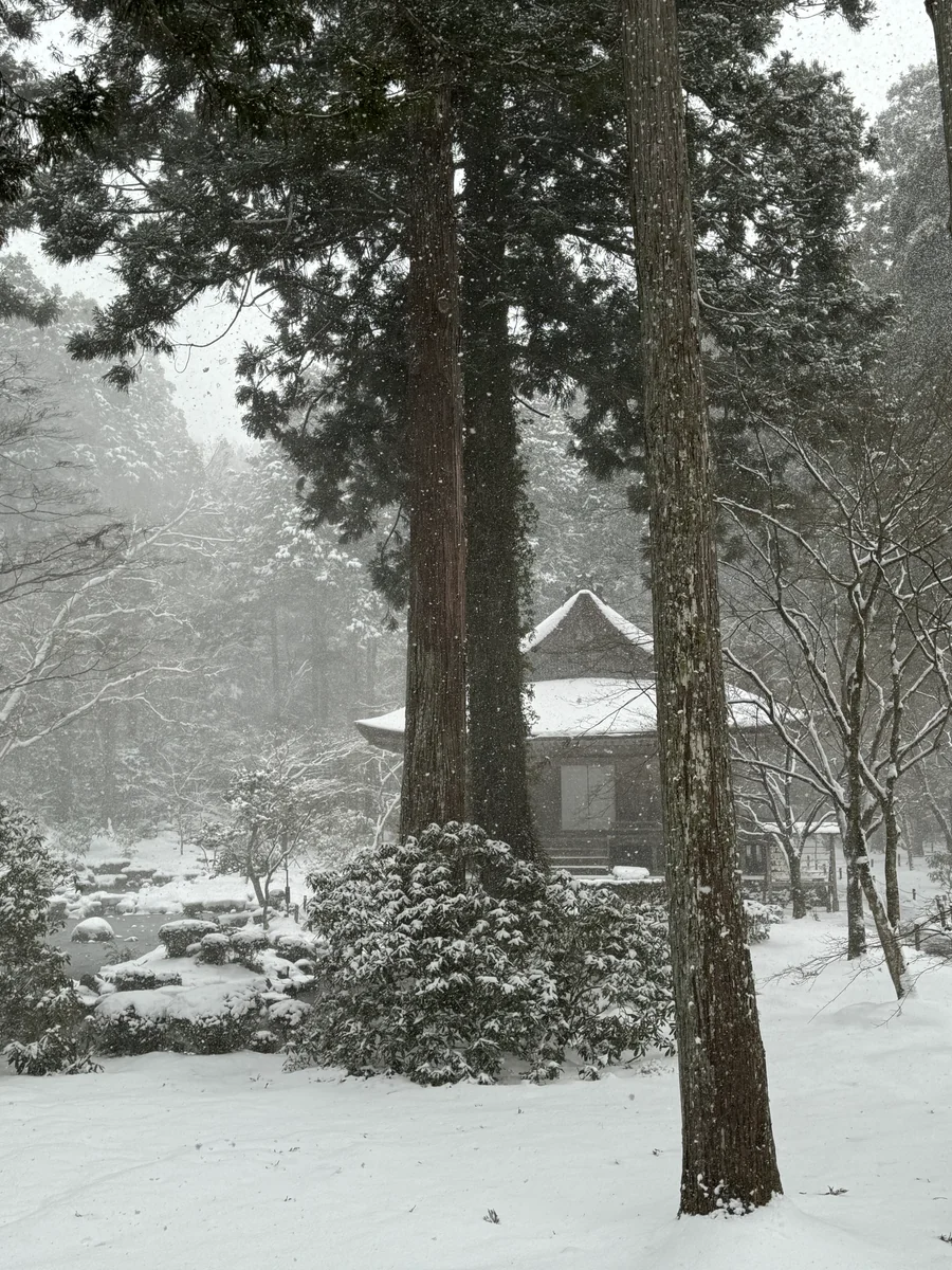 投稿写真：幻想的な雪景色❄️三千院 庭園「有清園」
