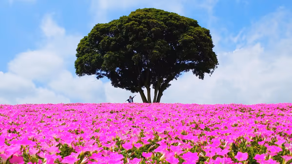 投稿：桃色吐息　一本木