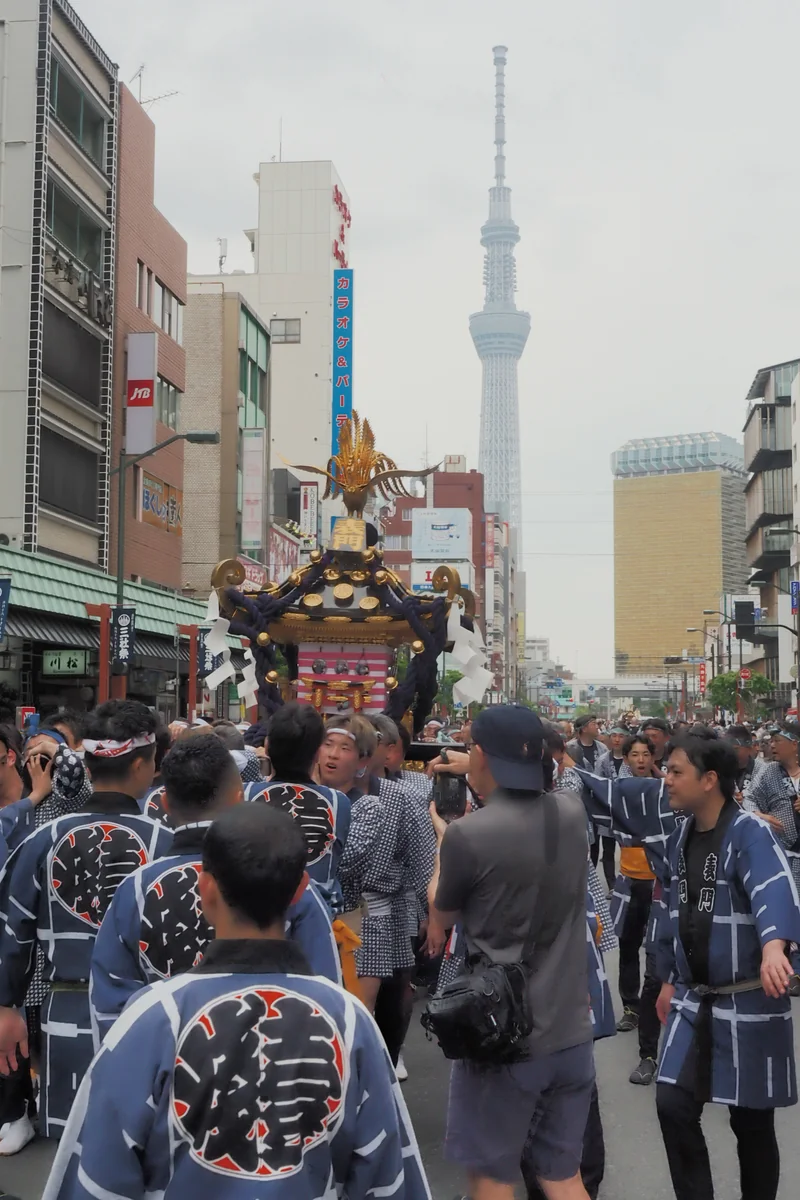 投稿写真：三社祭　神輿とスカイツリー