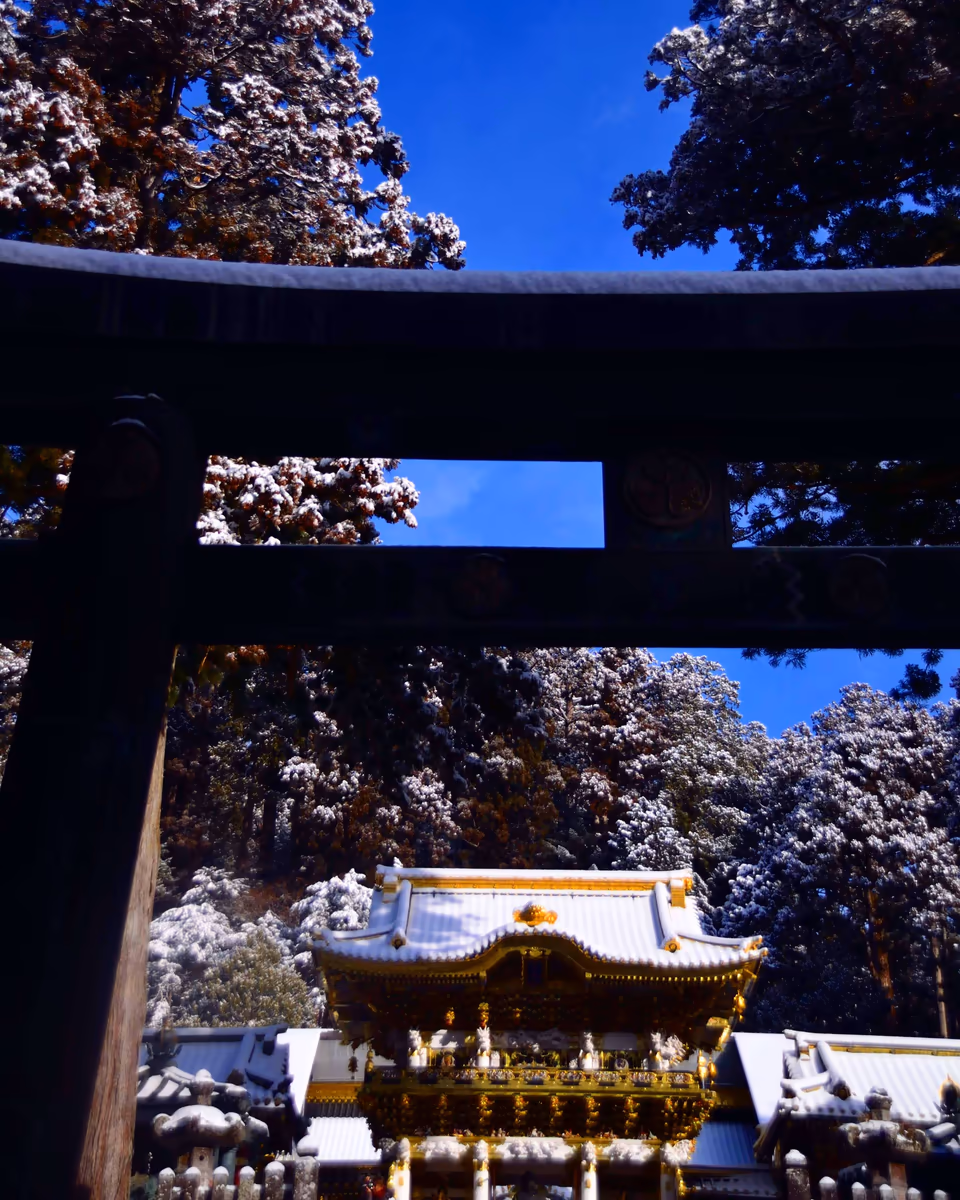 投稿写真：雪の晴れ間
