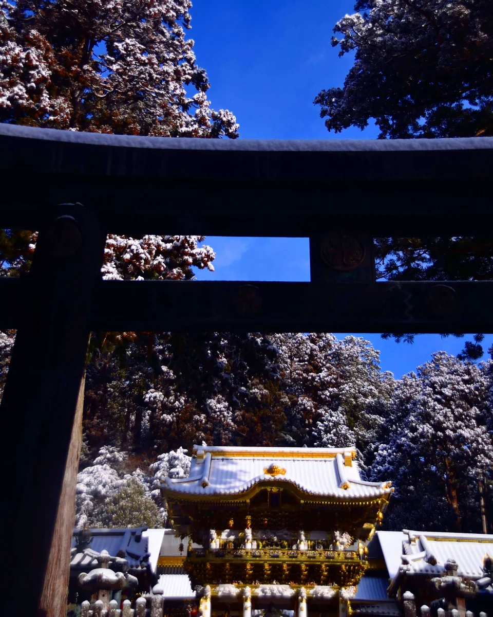 投稿写真：雪の晴れ間