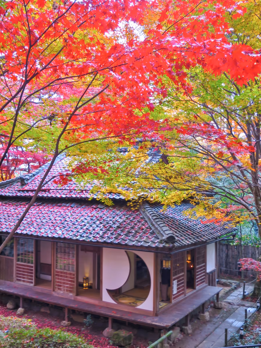 投稿写真：教林坊の紅葉