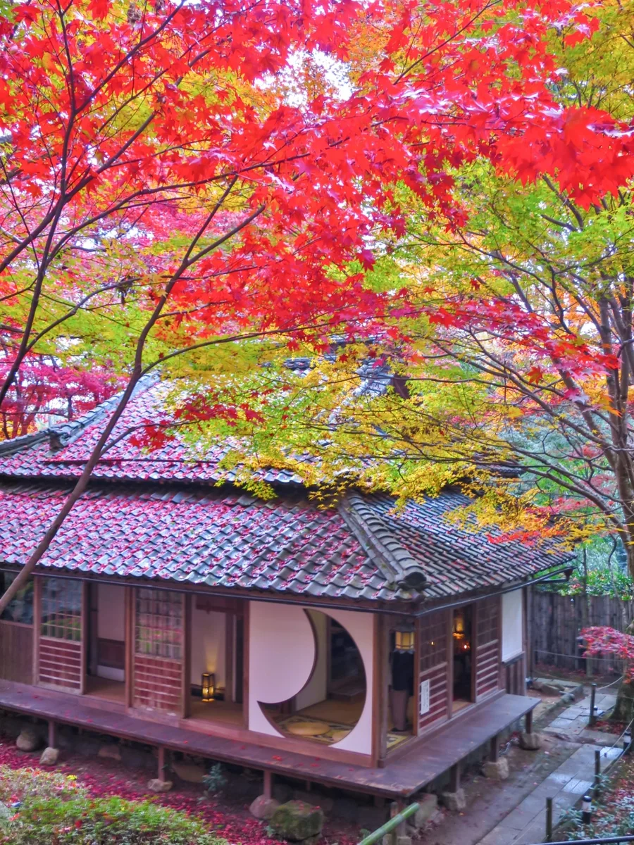 投稿写真：教林坊の紅葉