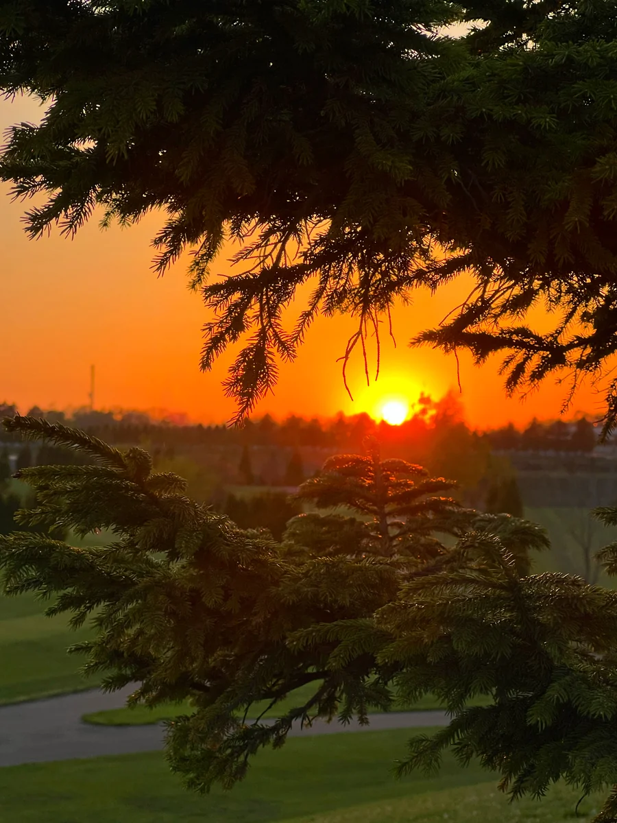 投稿写真：眩しい夕陽