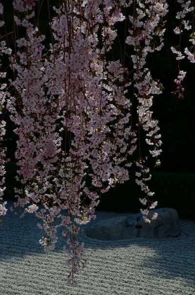  | 絶景事典