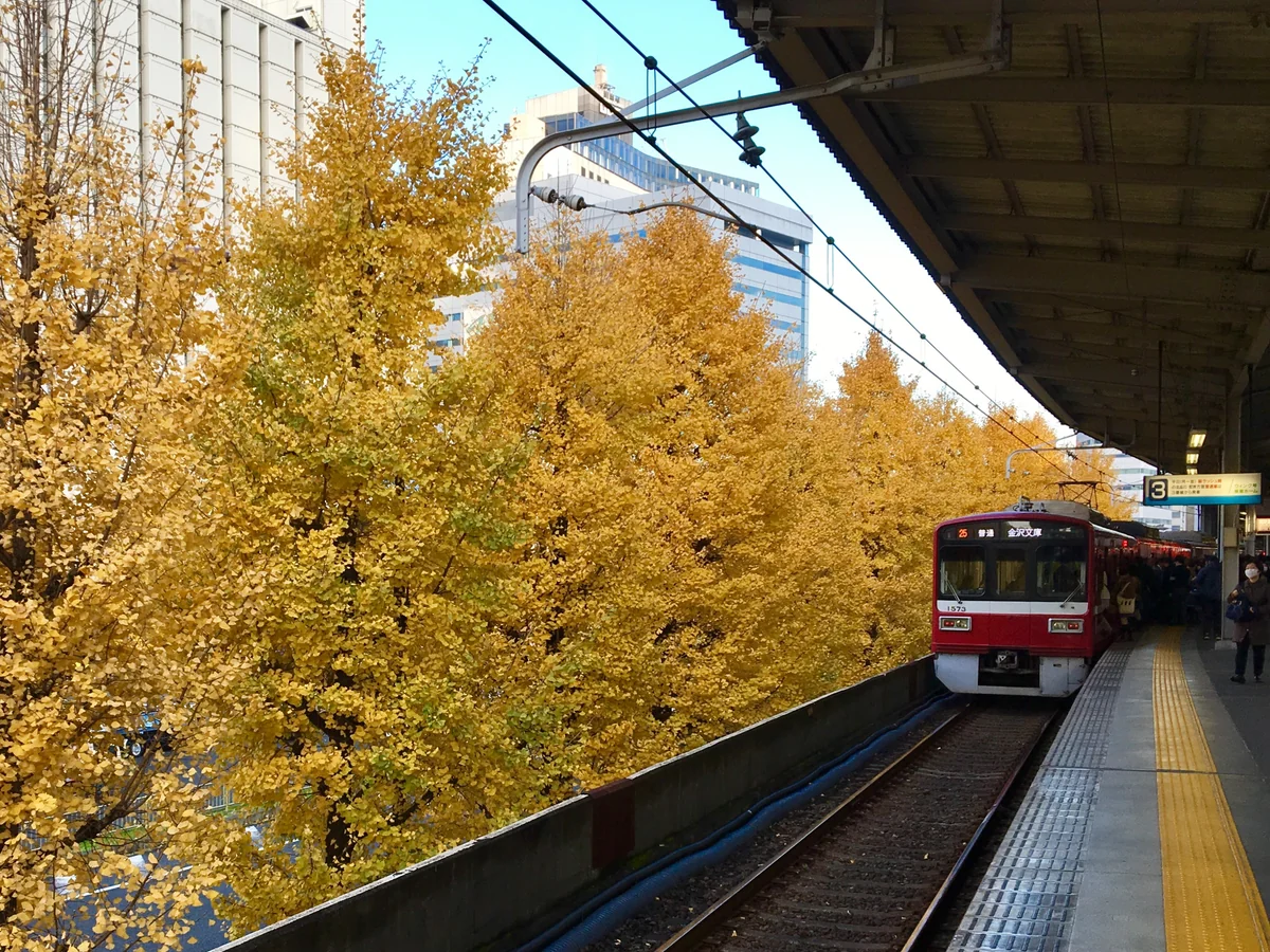 投稿写真：秋の京急品川駅