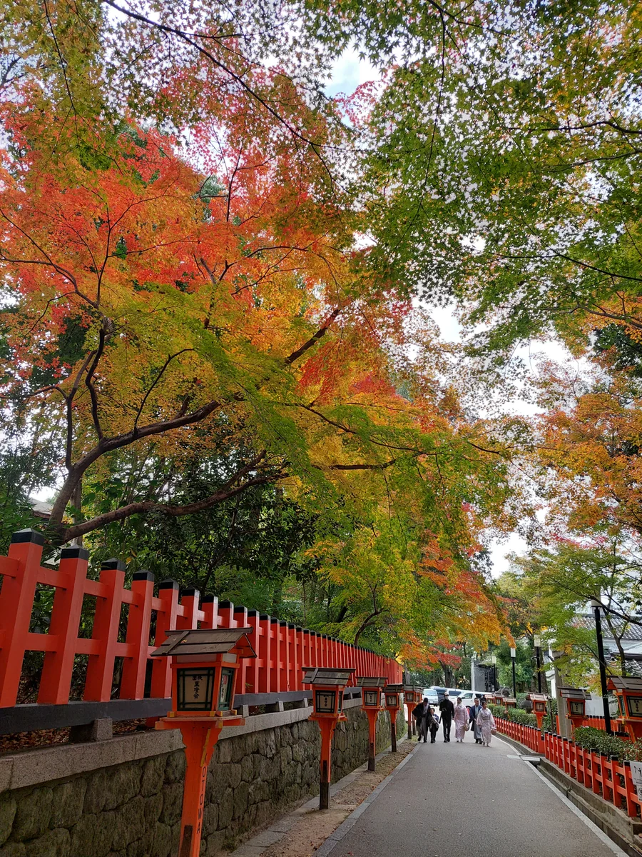 投稿写真：鮮やかな秋