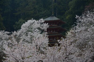  | 絶景事典