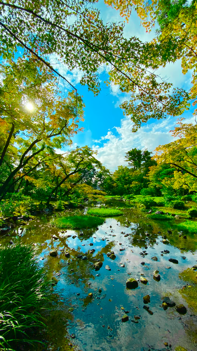投稿写真：京都の夏・山縣有朋の別邸 無鄰菴
