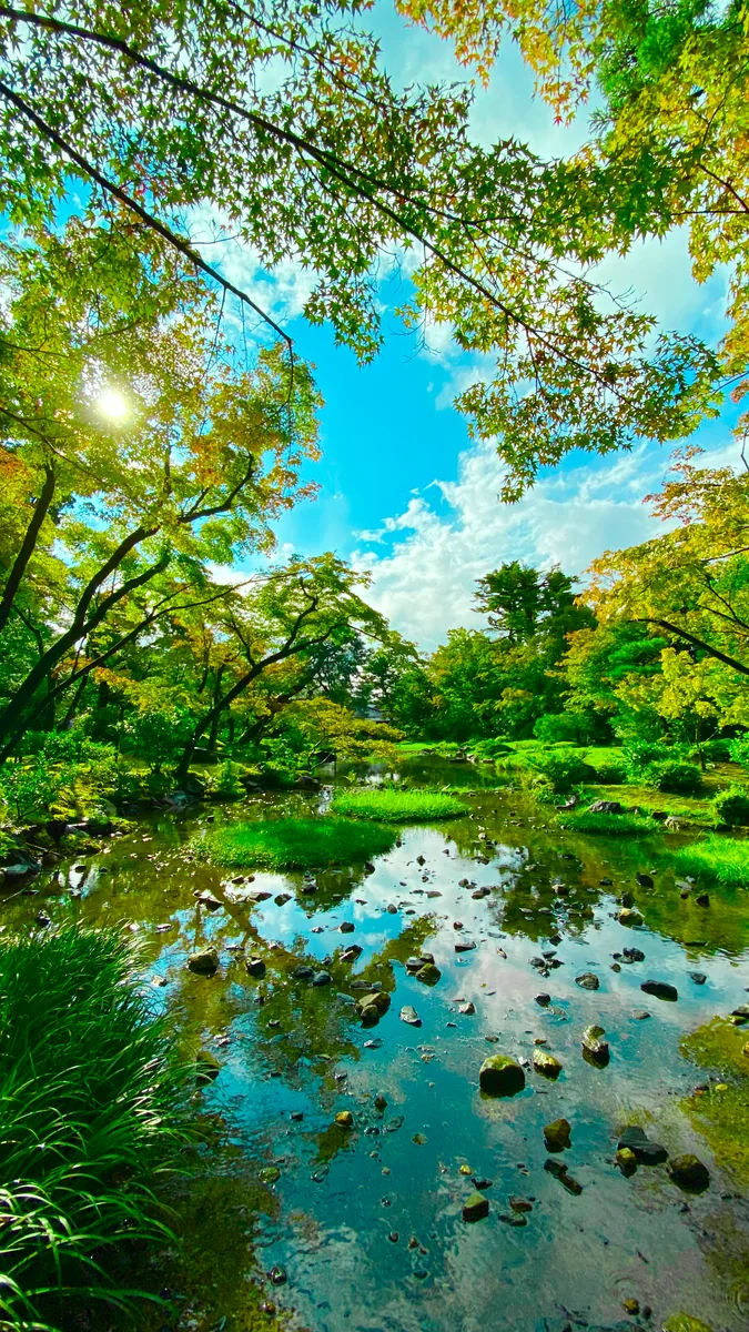 投稿写真：京都の夏・山縣有朋の別邸 無鄰菴