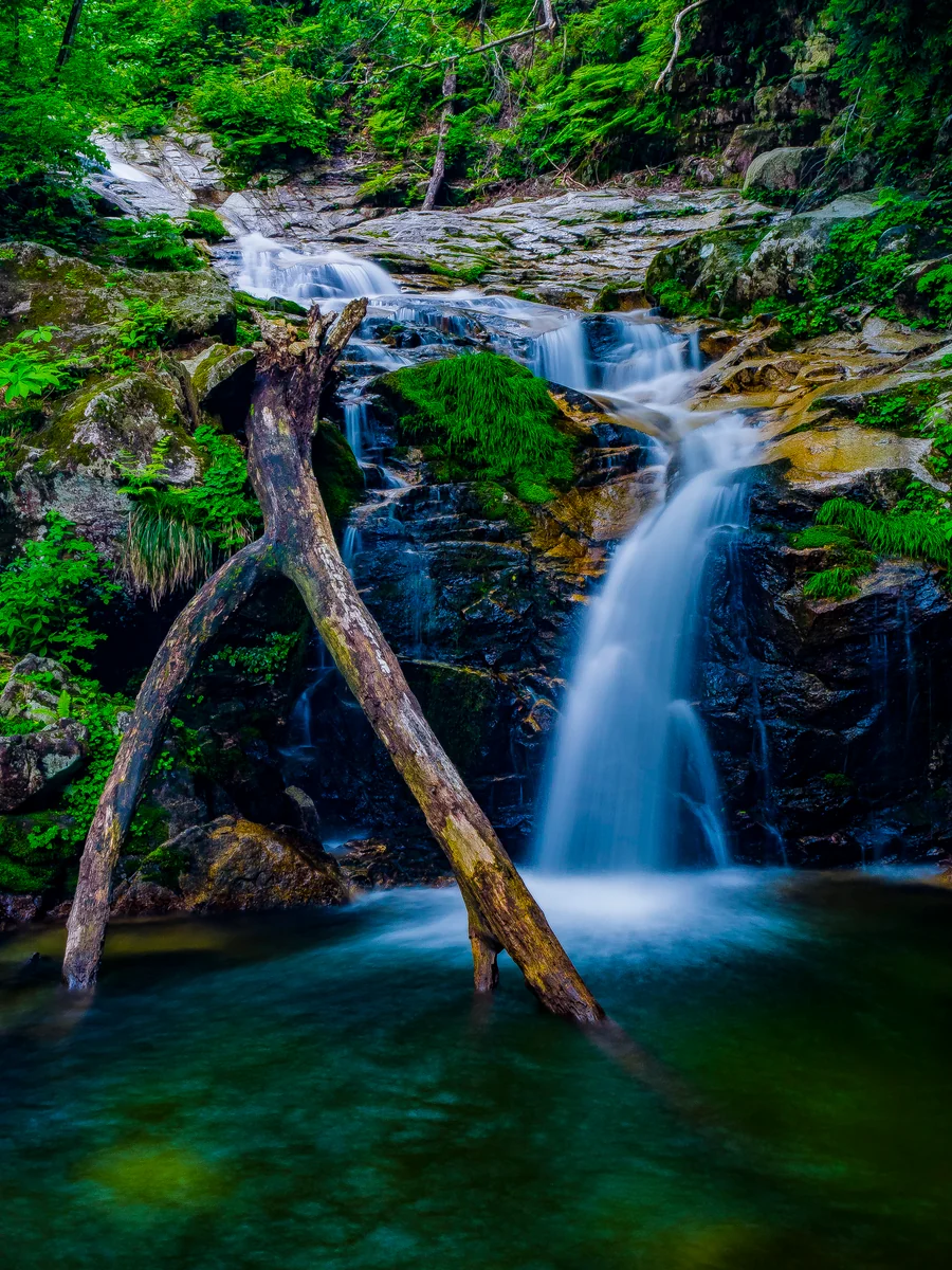 投稿写真：幽玄初夏の八ツ淵の滝