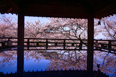  | 絶景事典