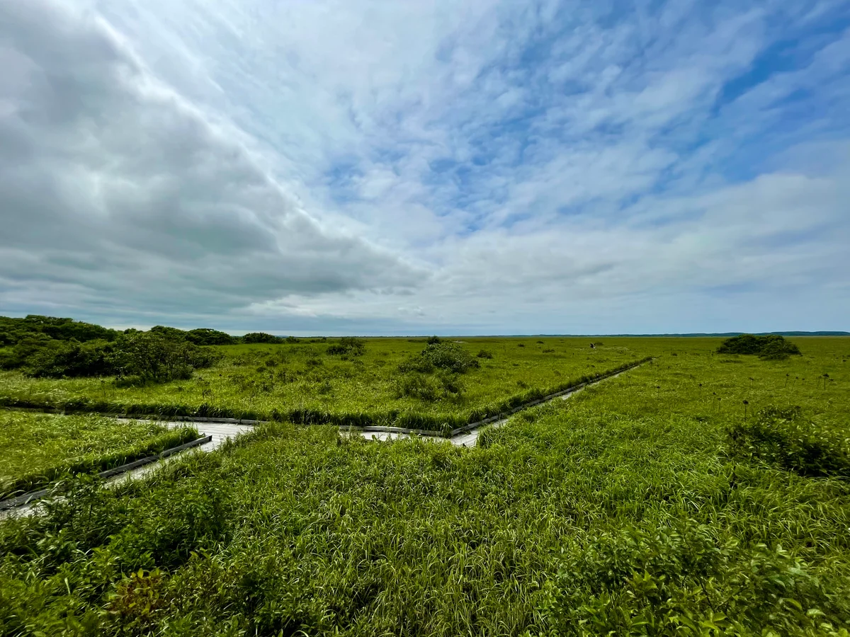 投稿写真：サロベツ原野