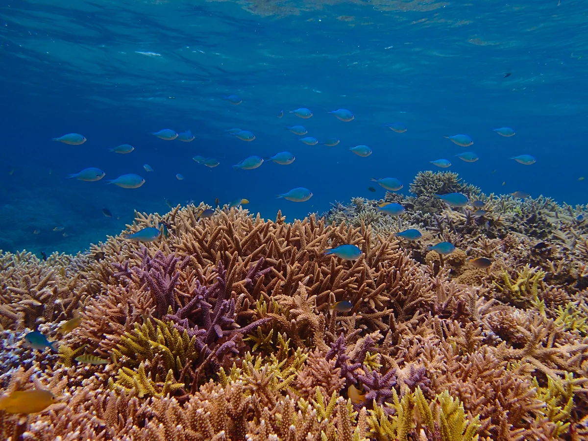 投稿写真：バラス島周辺