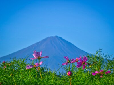  | 絶景事典