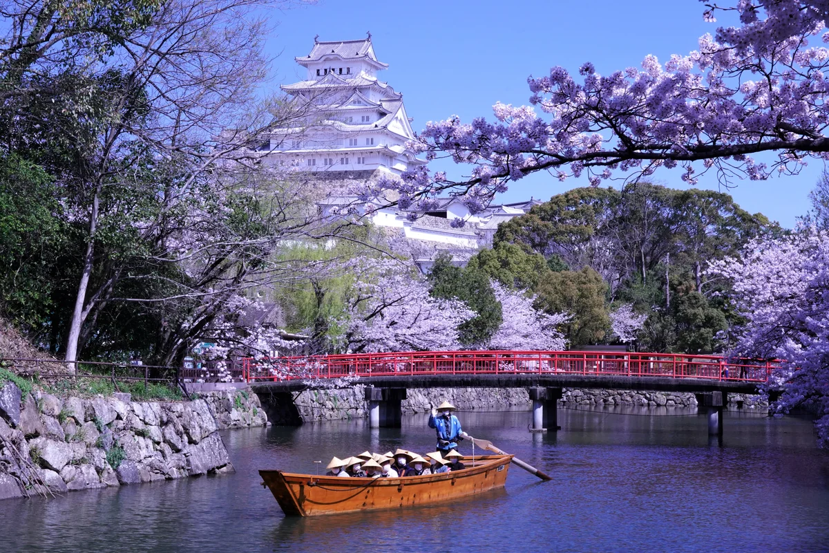 バケット君さんの投稿写真