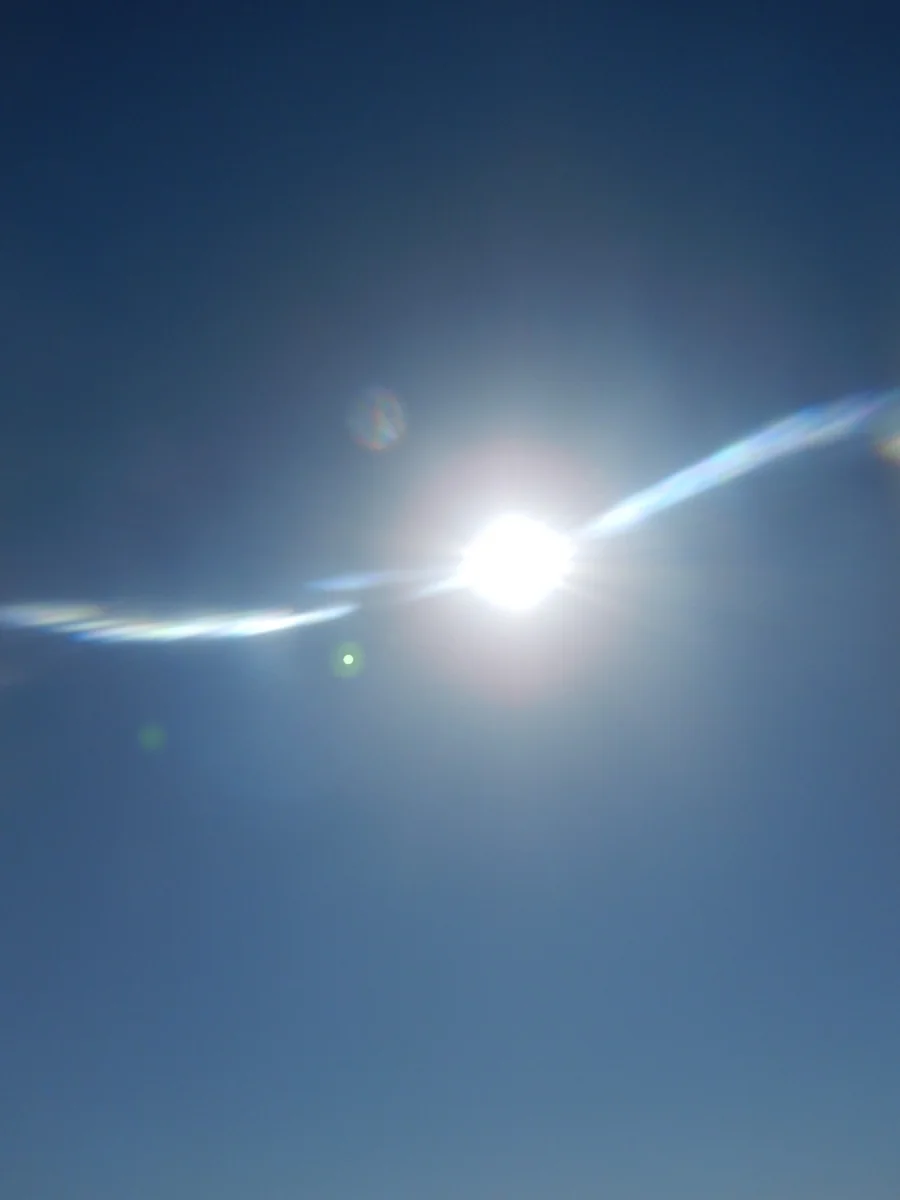 投稿写真：朝陽