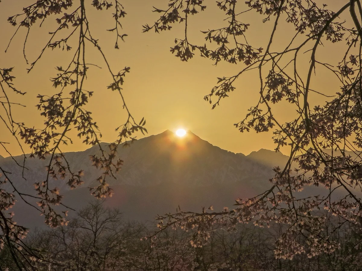 投稿写真：桜ダイヤモンド鹿島槍ヶ岳