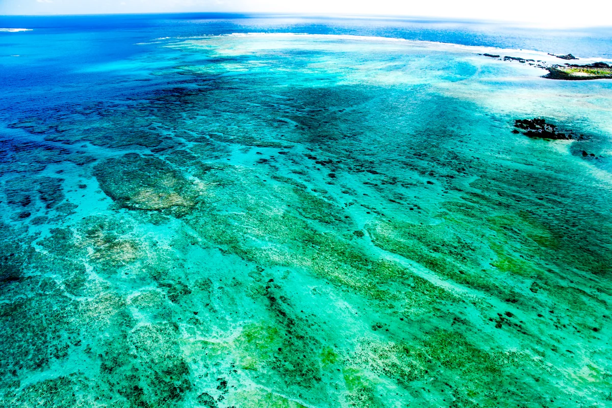 投稿写真：南の島