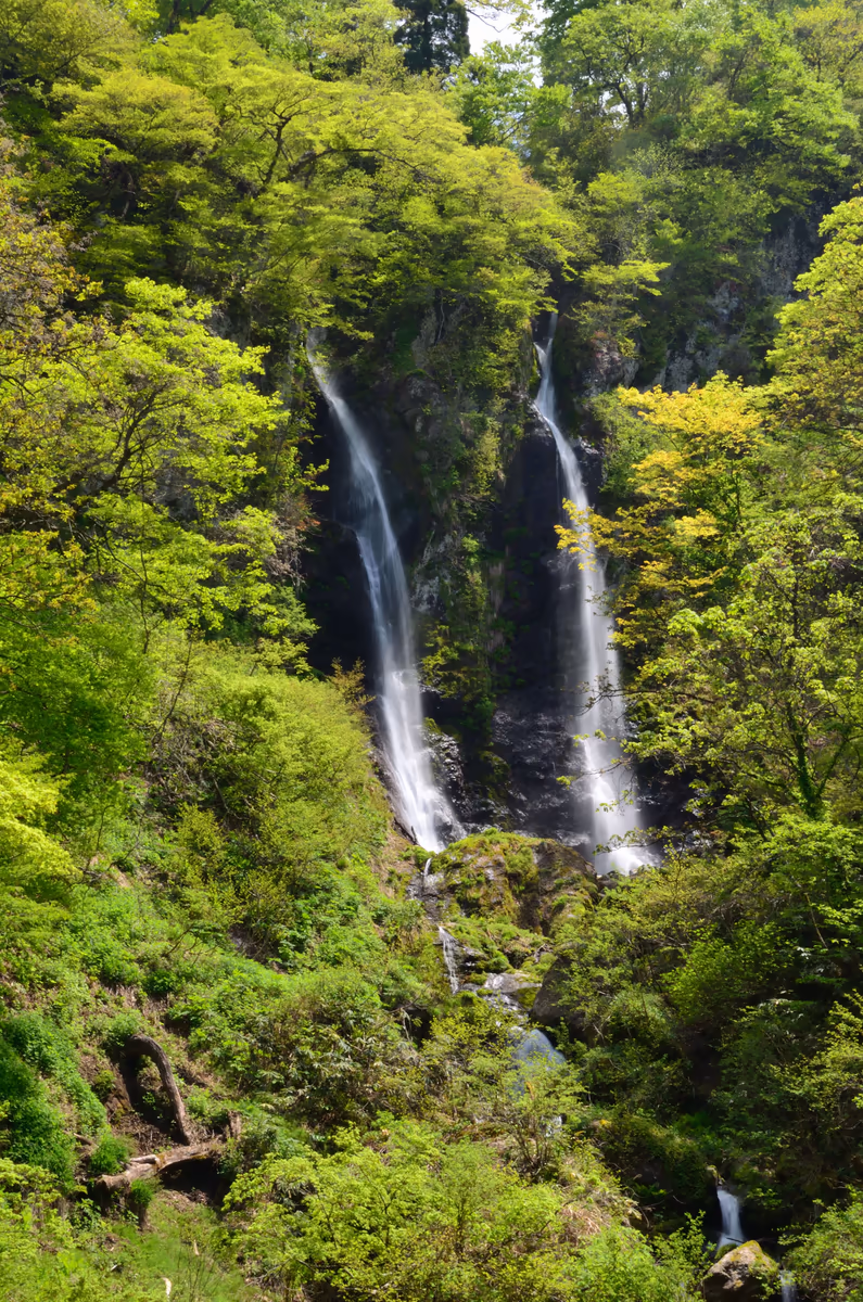 投稿写真：夫婦滝