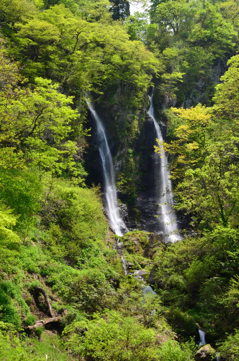 投稿写真：夫婦滝