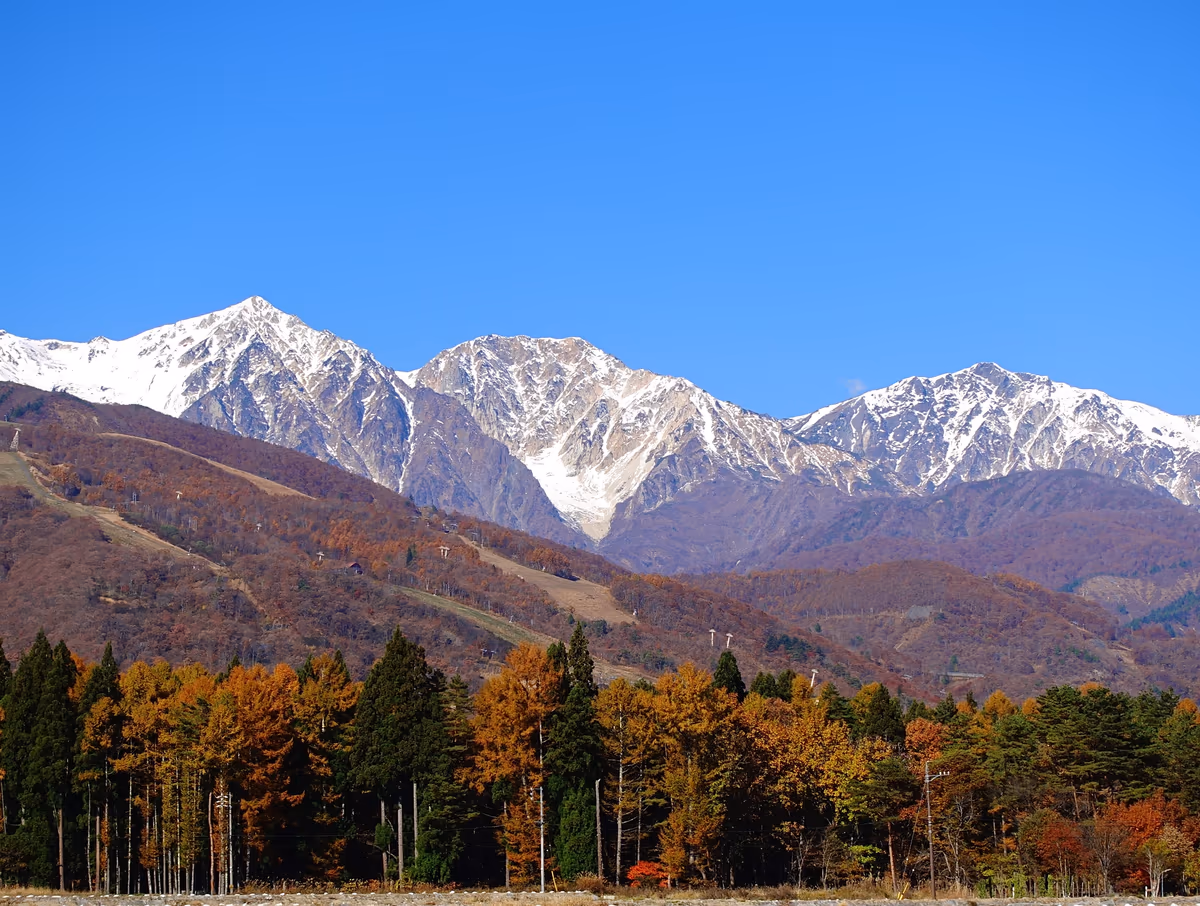 投稿写真：白馬三段紅葉 2