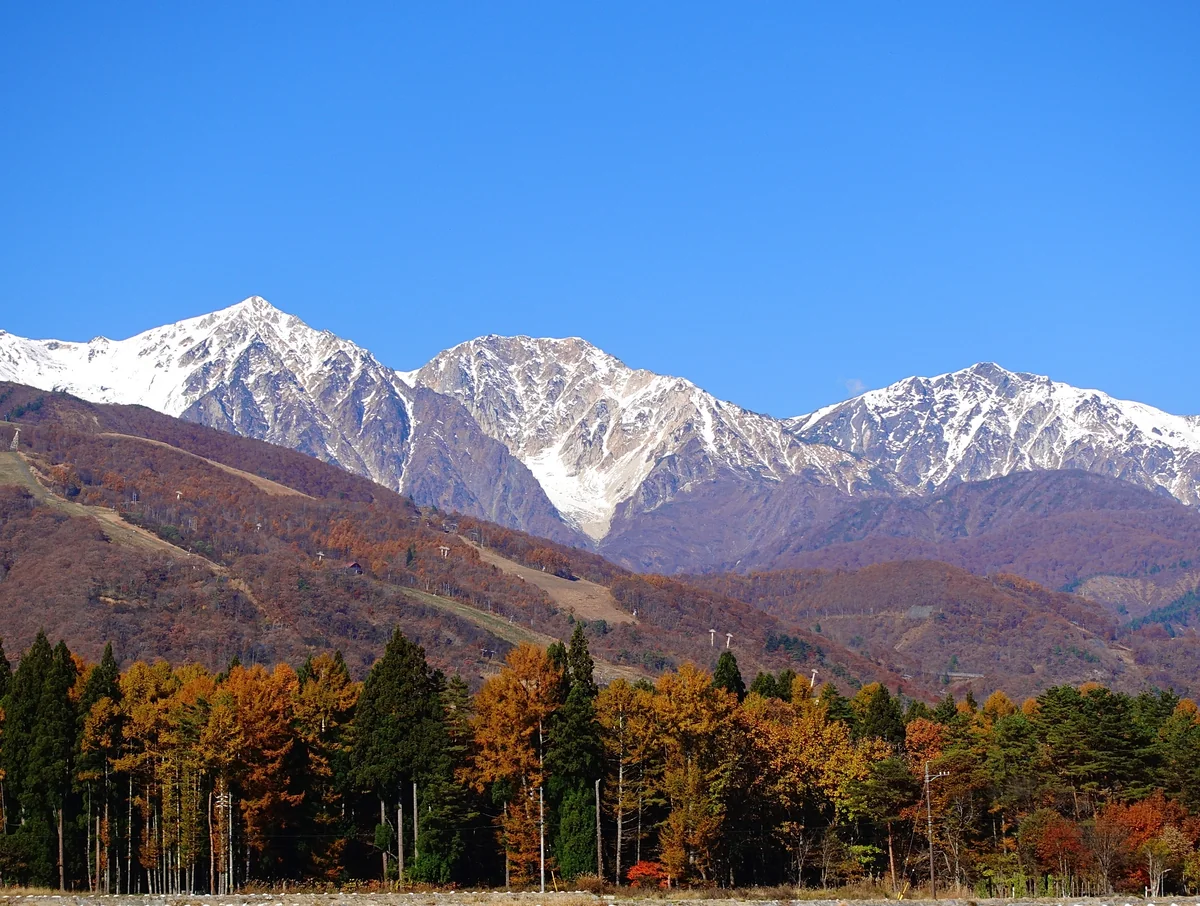 投稿写真：白馬三段紅葉 2