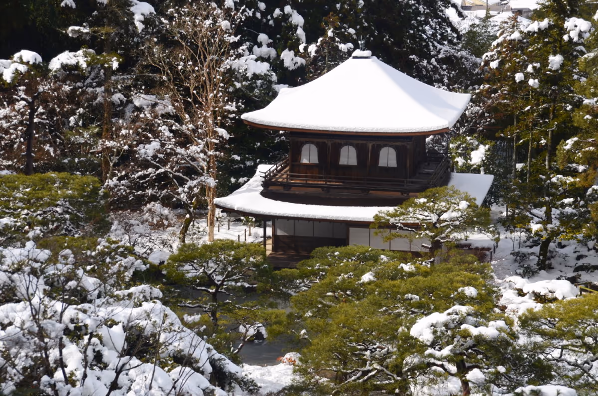 投稿写真：雪に囲まれる