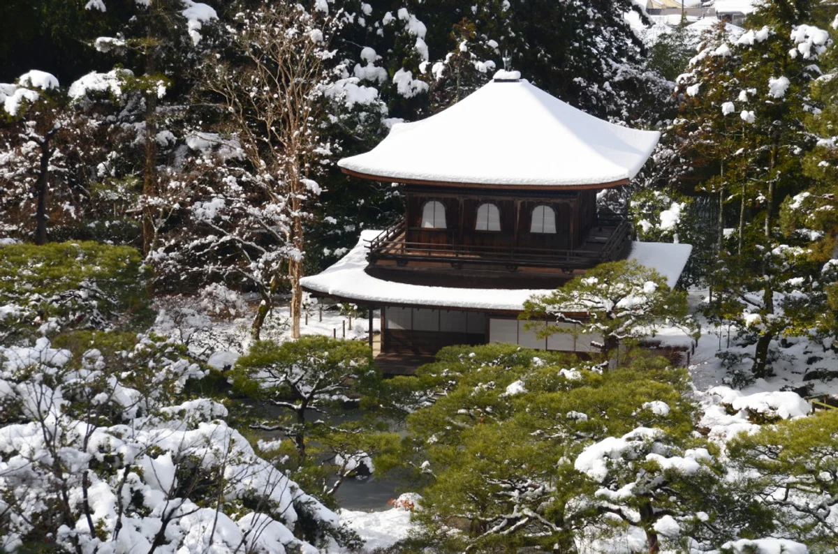 投稿写真：雪に囲まれる