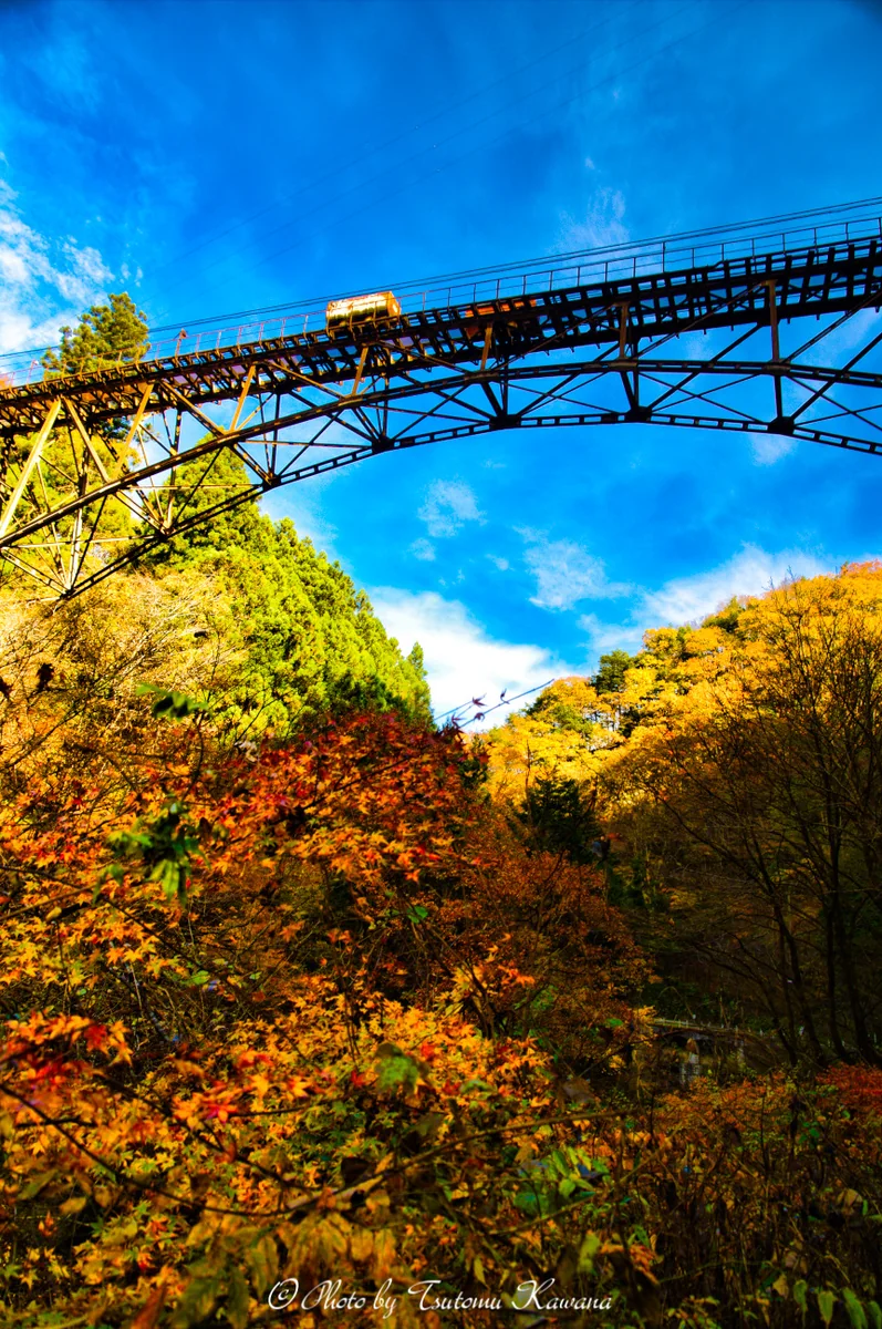 投稿写真：奥多摩工業氷川鉱業所曳鉄線の鉄橋と紅葉
